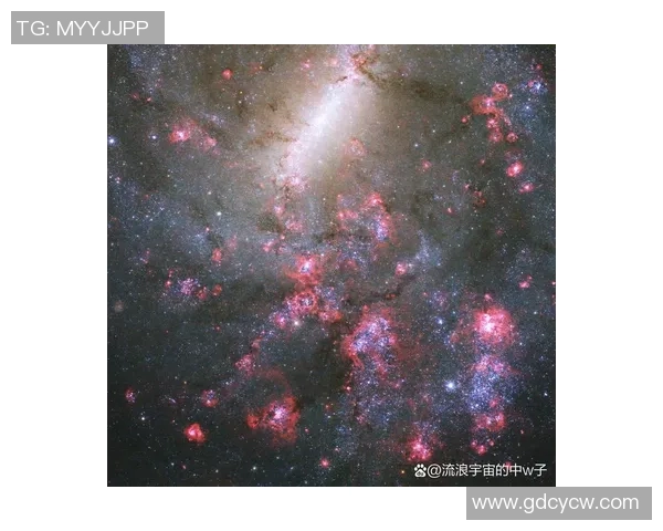 弗格的传奇人生与不屈精神在历史长河中的闪耀光芒